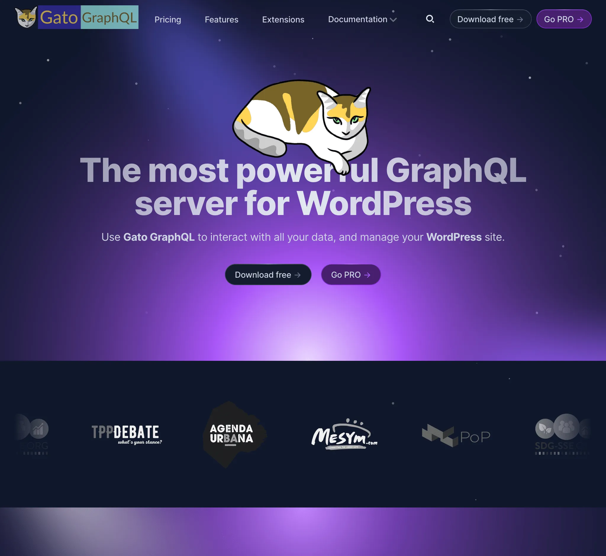Nowa strona Gato GraphQL